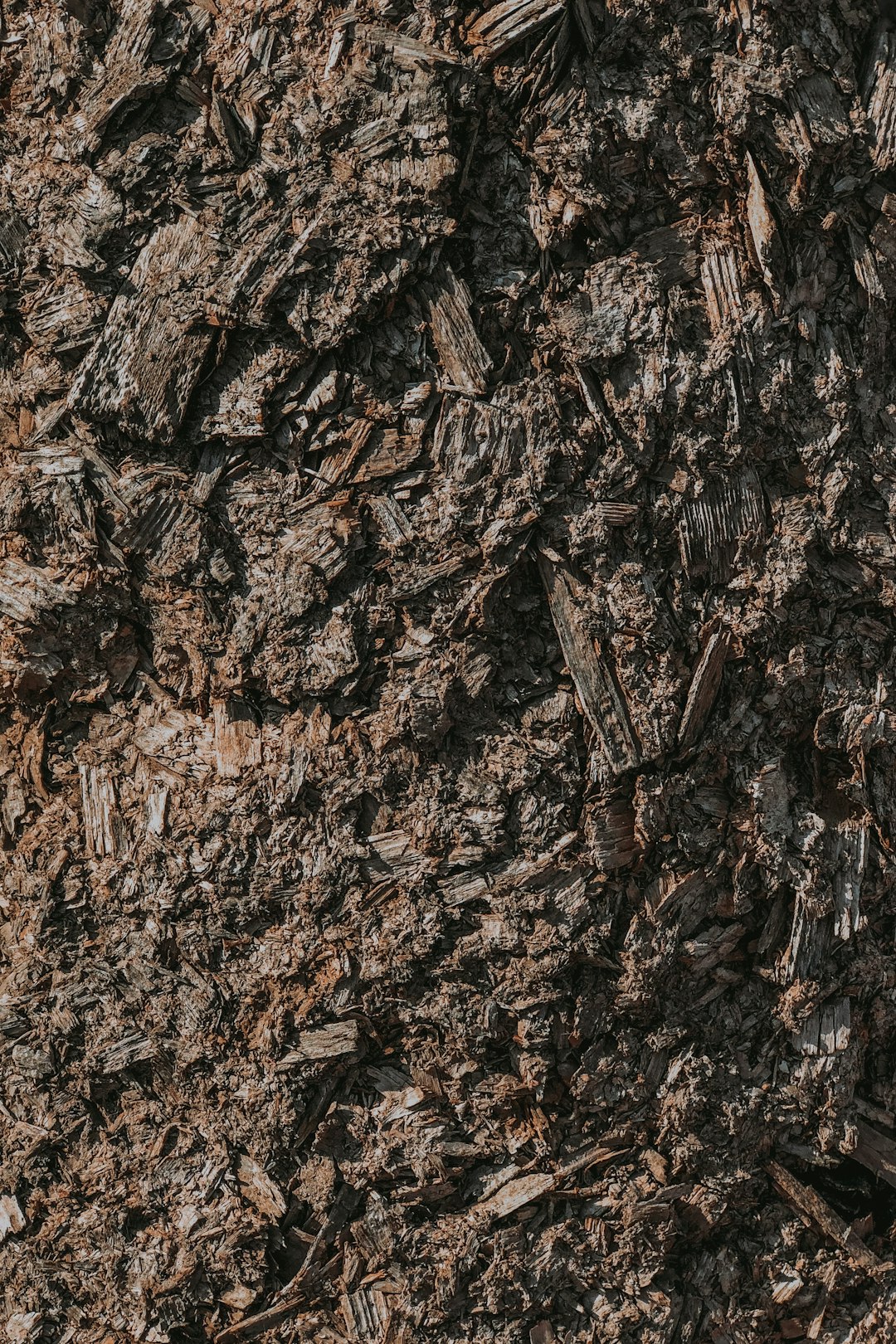 brown-and-black-dried-leaves-bgtgt5ajnq4