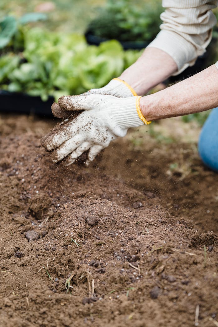 Close-up of a gardeners hands in gloves preparing soil for planting outdoors.